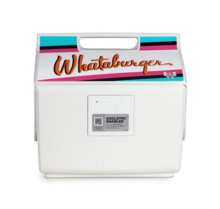 view kool tunes igloo cooler back