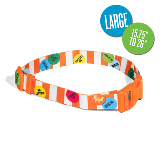 An orange and white striped pet collar with colorful circular patches, shown on a white background with two blue and green size callout circles reading LARGE and 15.75" TO 26".